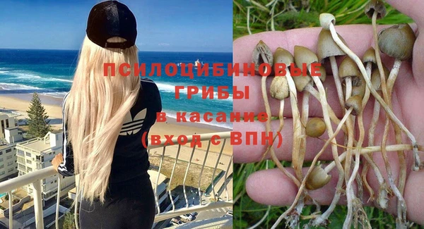 дмт Сатка