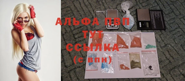 дмт Сатка