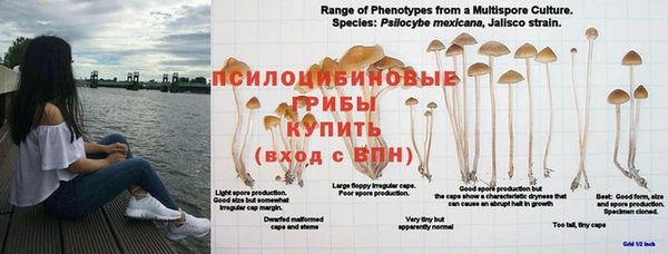 дмт Сатка