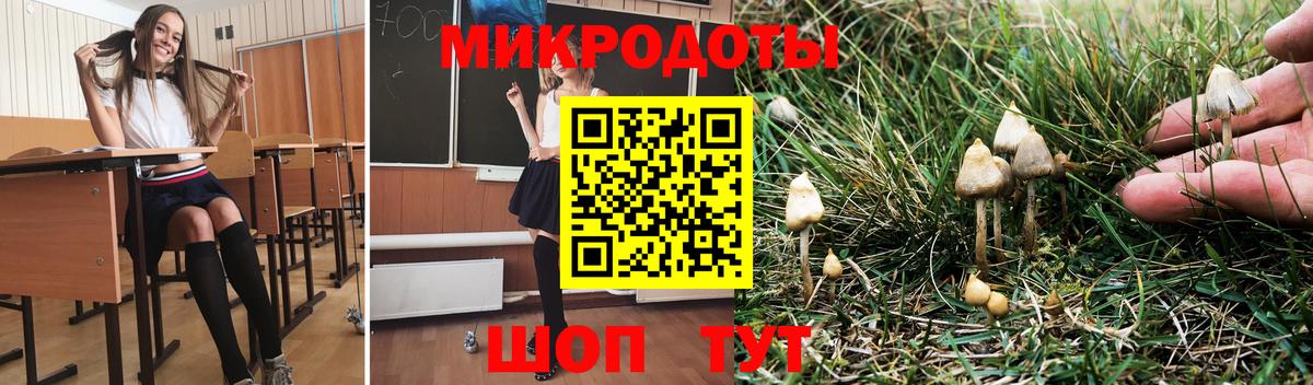 Псилоцибиновые грибы мухоморы  Псилоцибиновые грибы ЛСД  Усть-Илимск  Вход с VPN 